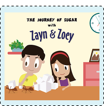The Journey Of Sugar