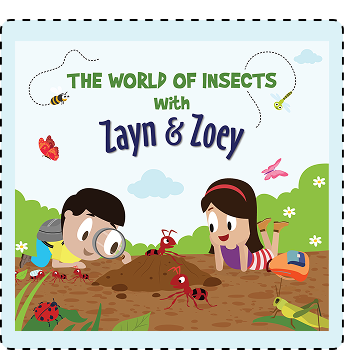 The World Of Insects