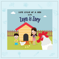 Life Cycle of a Hen with Zayn & Zoey