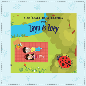Life Cycle of A Ladybug